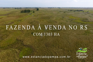 INICIO TOURO.00_01_40_25.Quadro010_5d9208be2d7a6b7c05619c926ecbeeb47ec38bc8.jpg